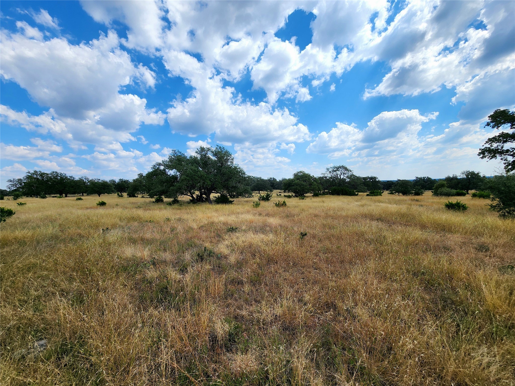 1332 Short Road Vanderpool, TX 78885 - Photo 16 of 44 a view of a lake from a yard