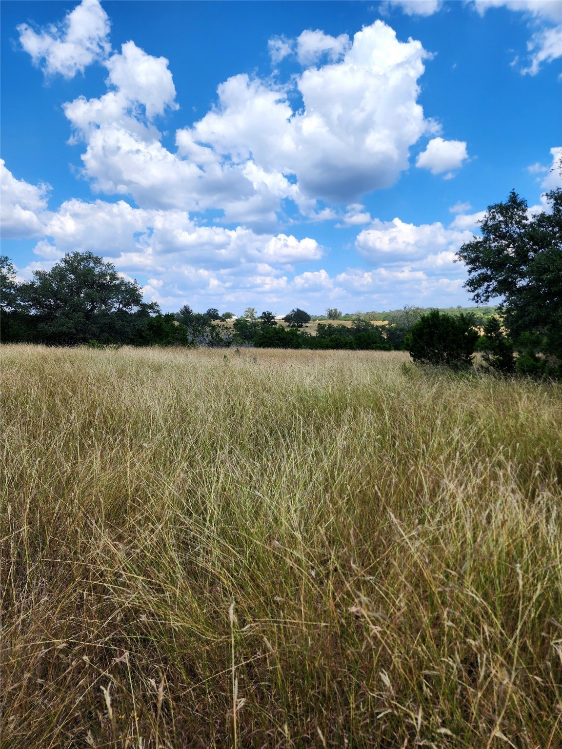 1332 Short Road Vanderpool, TX 78885 - Photo 27 of 44 a view of an ocean and beach