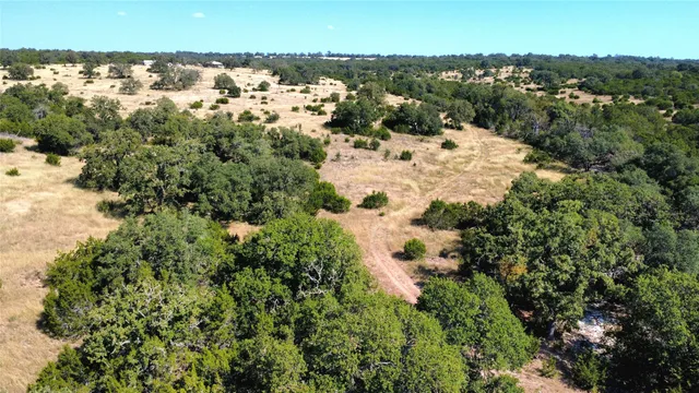 a view of a dry yard covered with trees