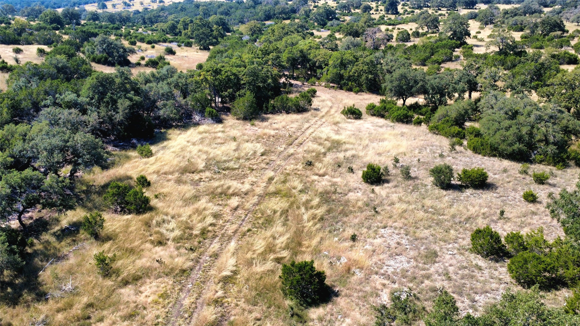1332 Short Road Vanderpool, TX 78885 - Photo 6 of 44 a view of a dry yard covered with trees