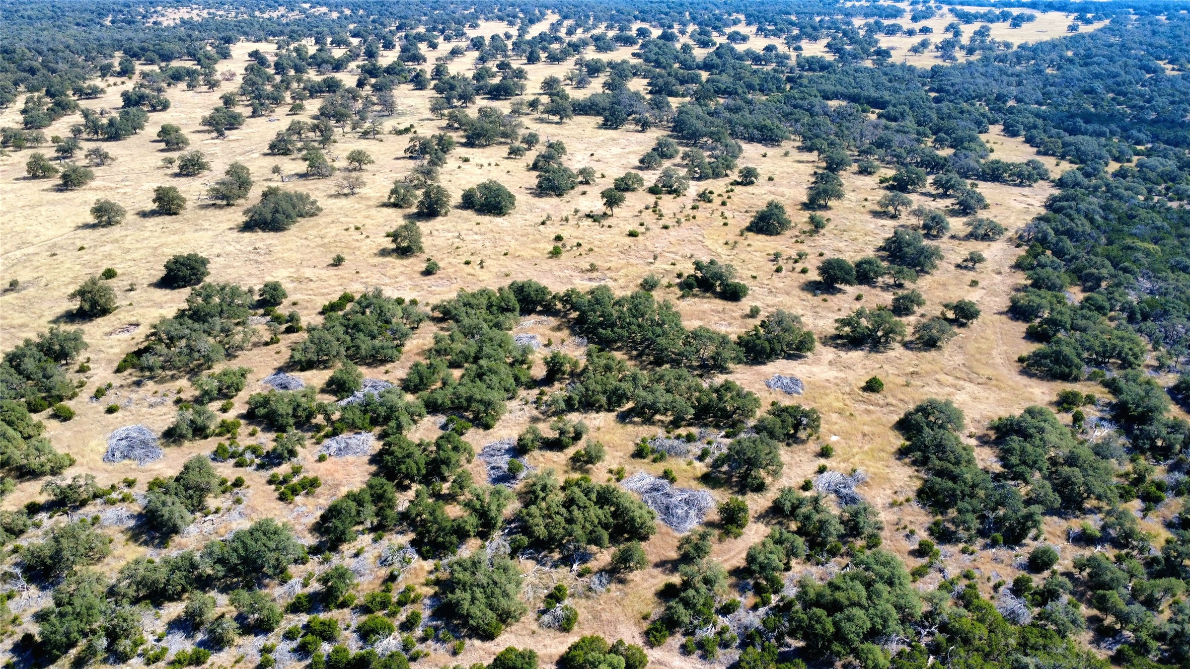 1332 Short Road Vanderpool, TX 78885 - Photo 8 of 44 a view of a covered with lots of trees