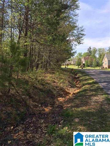 1331 Cedar Creek Road, Unit 4 ACRES Odenville, AL 35120 - Photo 11 of 20