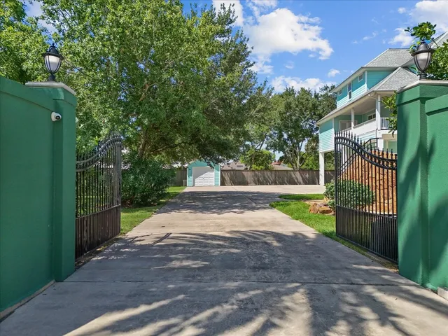 a view of a yard with plants and a trees