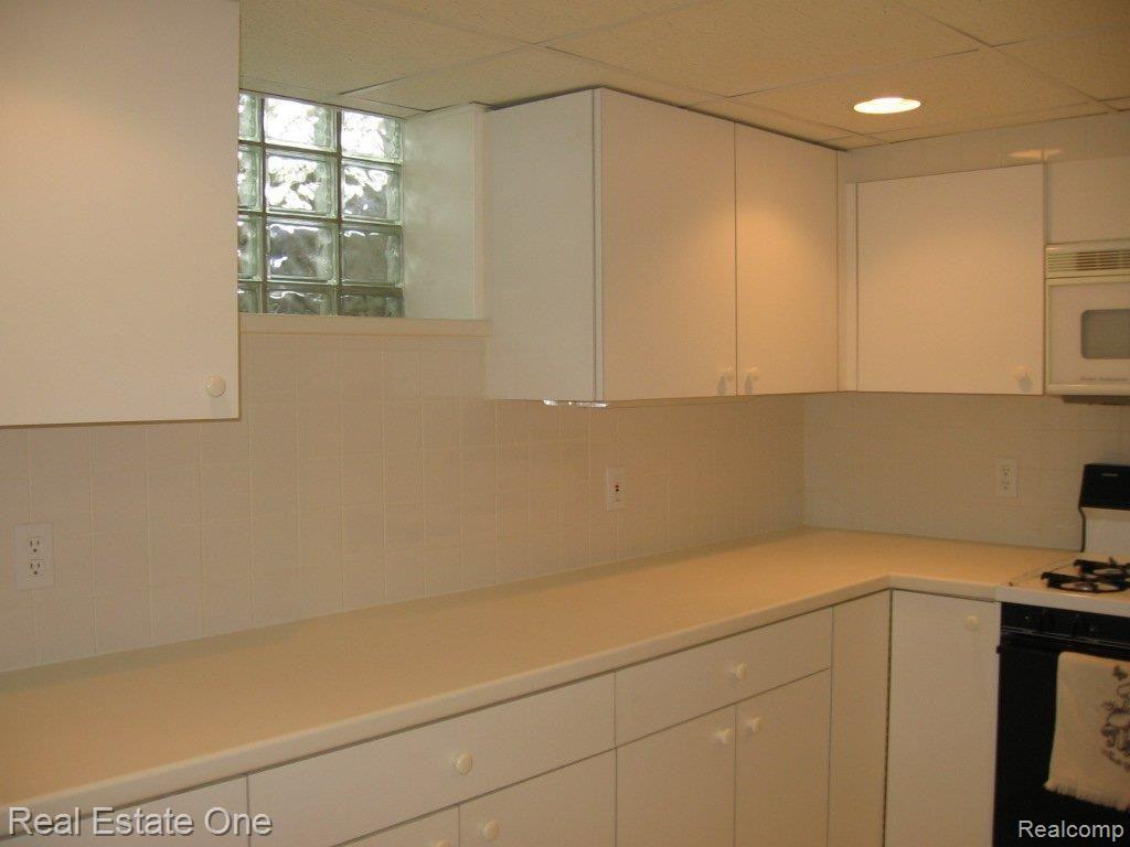 41465 Dequindre Road Troy, MI 48085 - Photo 14 of 16 Lower Level Kitchen
