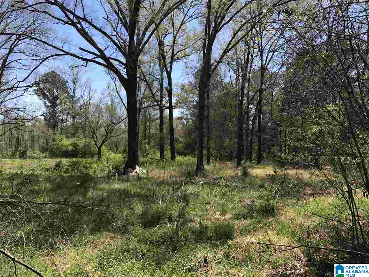 4133 Roy Webb Road, Unit 1 Jacksonville, AL 36265 - Photo 30 of 40