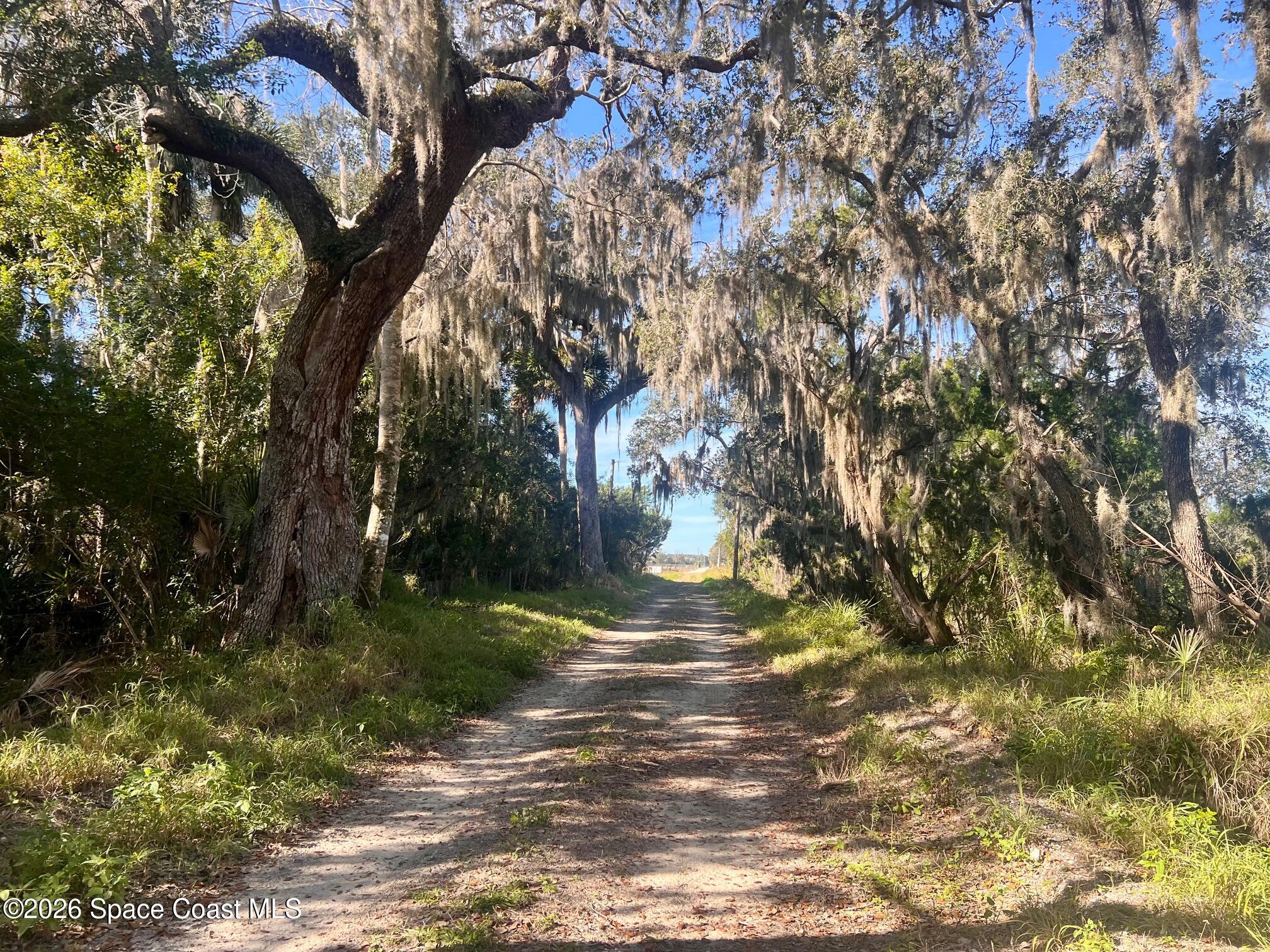 0 Flounder Creek Road Mims, FL 32754 - Photo 1 of 11 IMG_8851