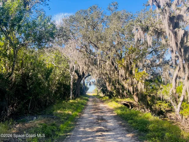 a view of a pathway both side of yard