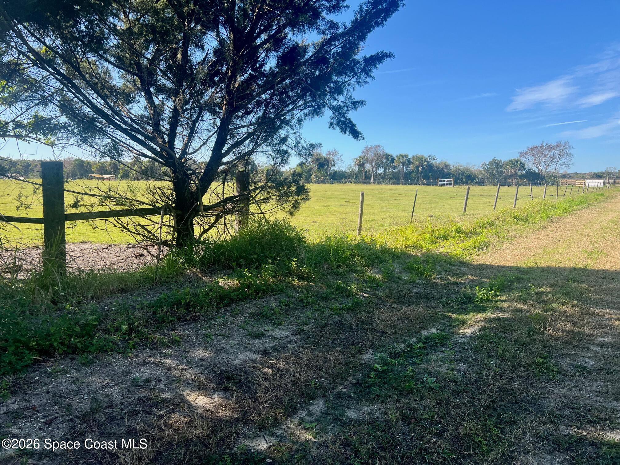 0 Flounder Creek Road Mims, FL 32754 - Photo 6 of 11 IMG_8866