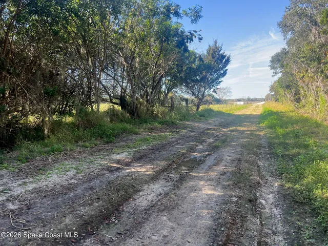 a view of a yard with a trees
