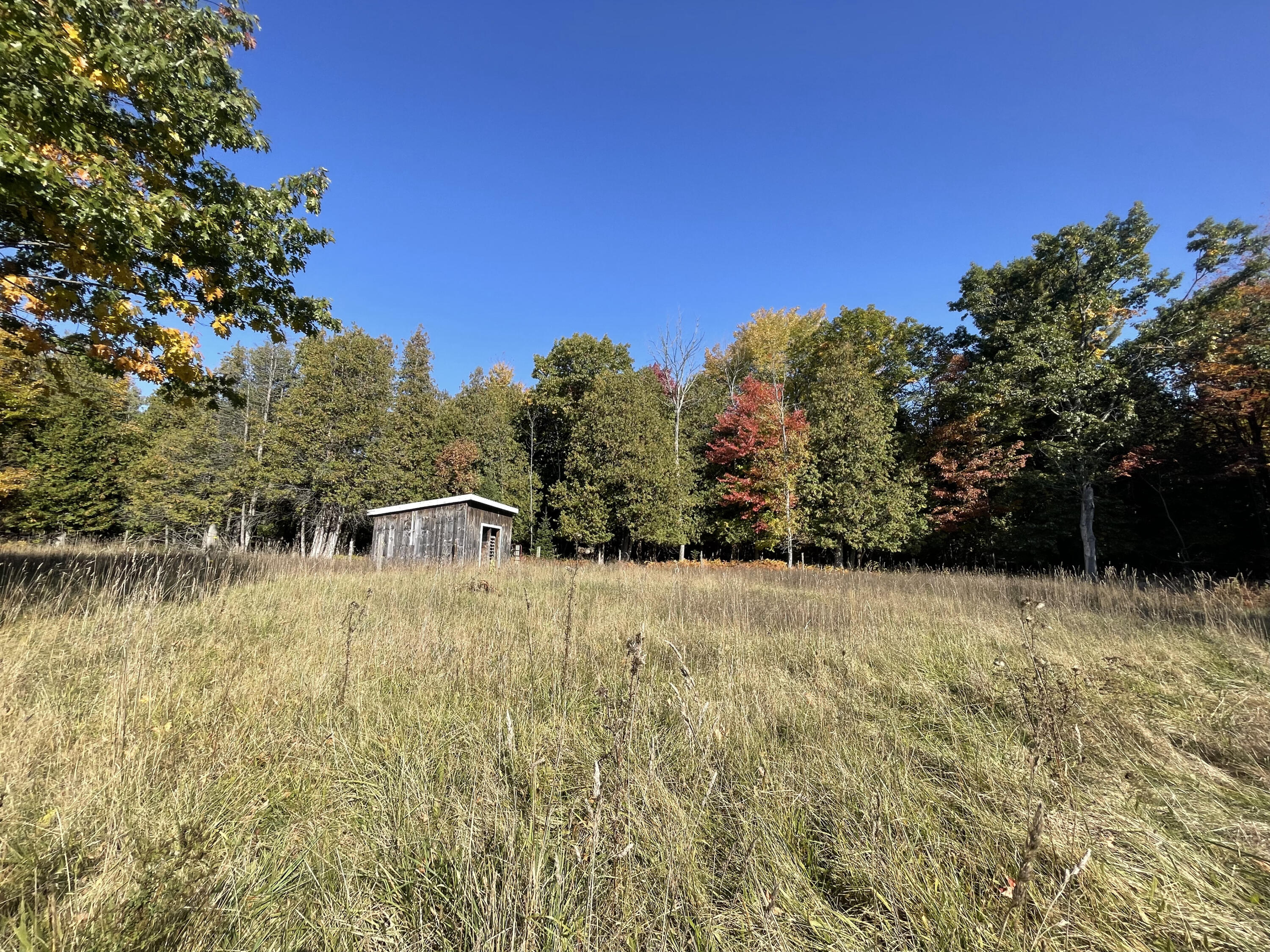 7150 Kate Hanson Road Cheboygan, MI 49721 - Photo 8 of 36 Gallery Image 8