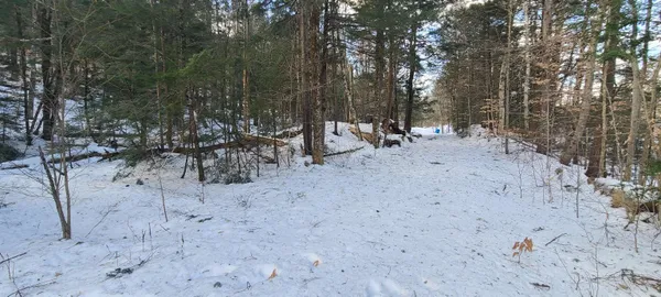 $120,000 | 8559 Highway 30, Unit LOTS 2 & 3, Jamaica, VT 05343