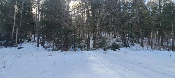 $120,000 | 8559 Highway 30, Unit LOTS 2 & 3, Jamaica, VT 05343