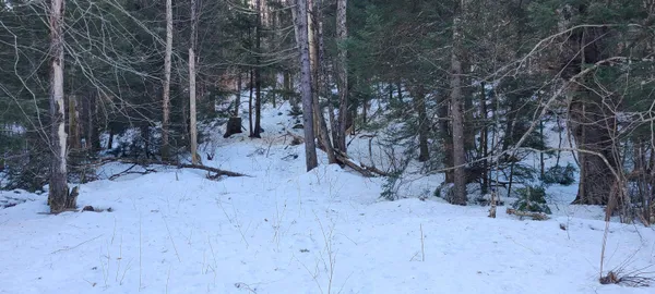 $120,000 | 8559 Highway 30, Unit LOTS 2 & 3, Jamaica, VT 05343