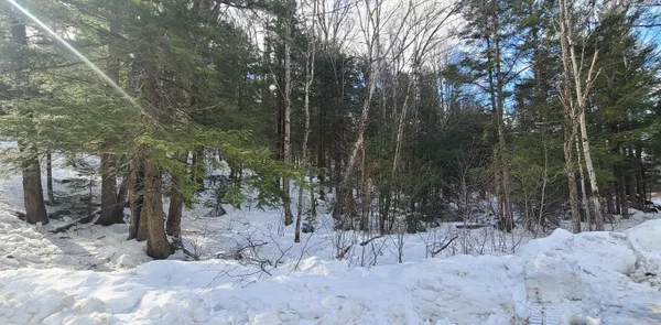 $120,000 | 8559 Highway 30, Unit LOTS 2 & 3, Jamaica, VT 05343