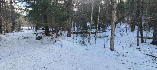 $120,000 | 8559 Highway 30, Unit LOTS 2 & 3, Jamaica, VT 05343