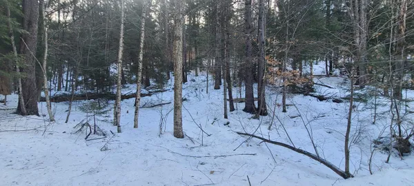 $120,000 | 8559 Highway 30, Unit LOTS 2 & 3, Jamaica, VT 05343