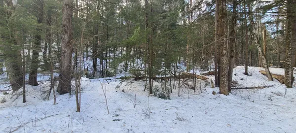 $120,000 | 8559 Highway 30, Unit LOTS 2 & 3, Jamaica, VT 05343