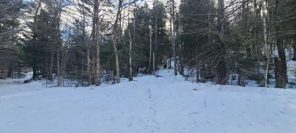 $120,000 | 8559 Highway 30, Unit LOTS 2 & 3, Jamaica, VT 05343