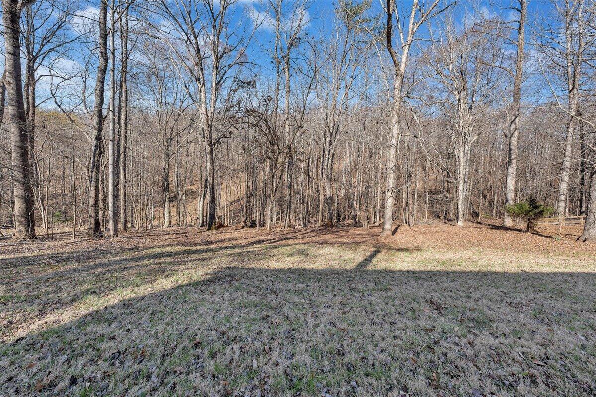 1309 Gate Lane Moneta, VA 24121 - Photo 33 of 35 40-MIB09489