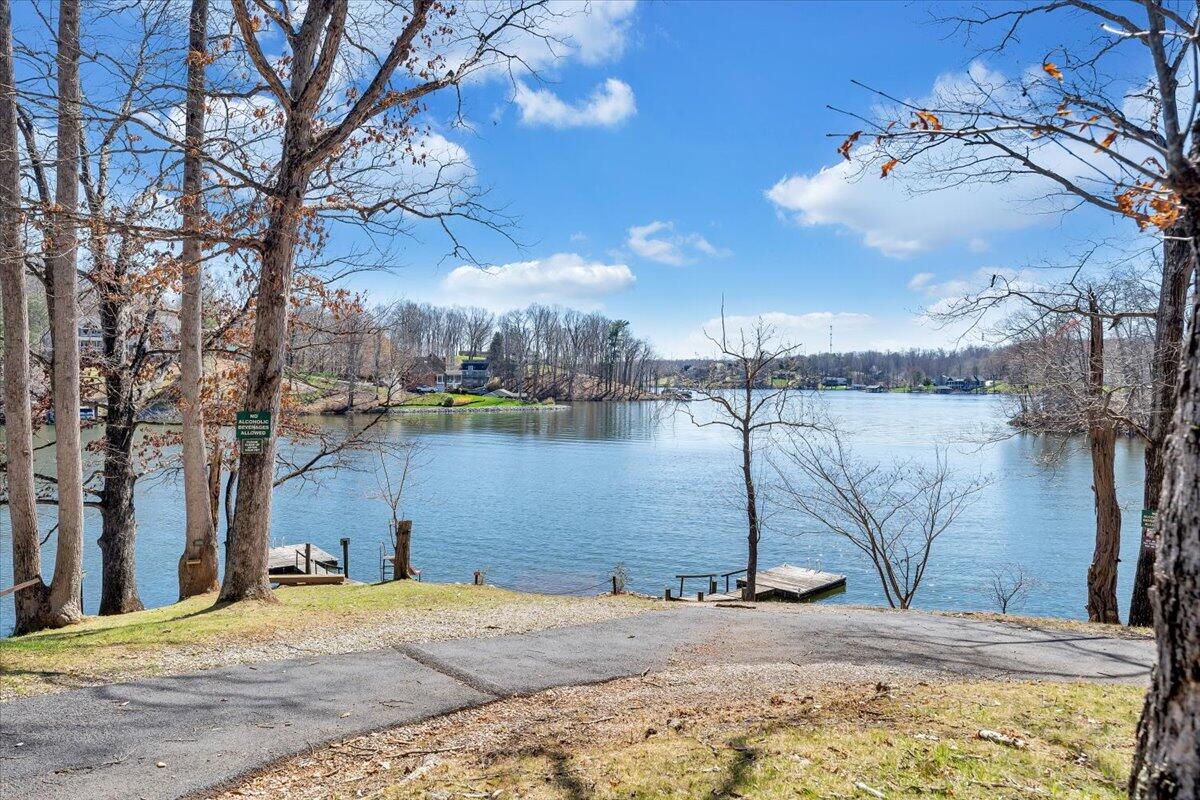 1309 Gate Lane Moneta, VA 24121 - Photo 34 of 35 3-MIB08846