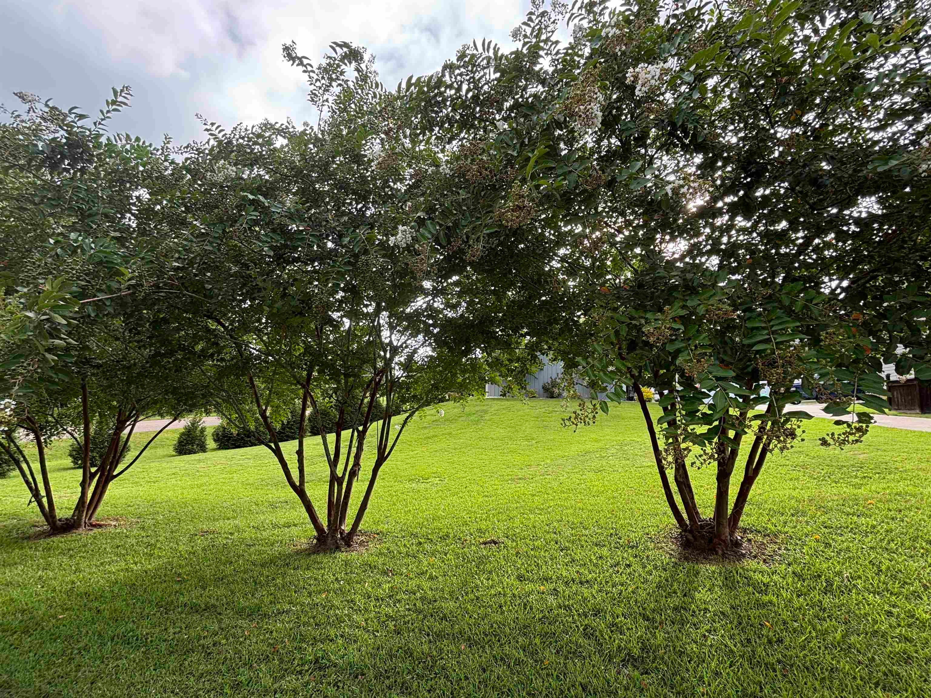 101 Kay Street Opp, AL 36467 - Photo 15 of 28 Gallery Image 15