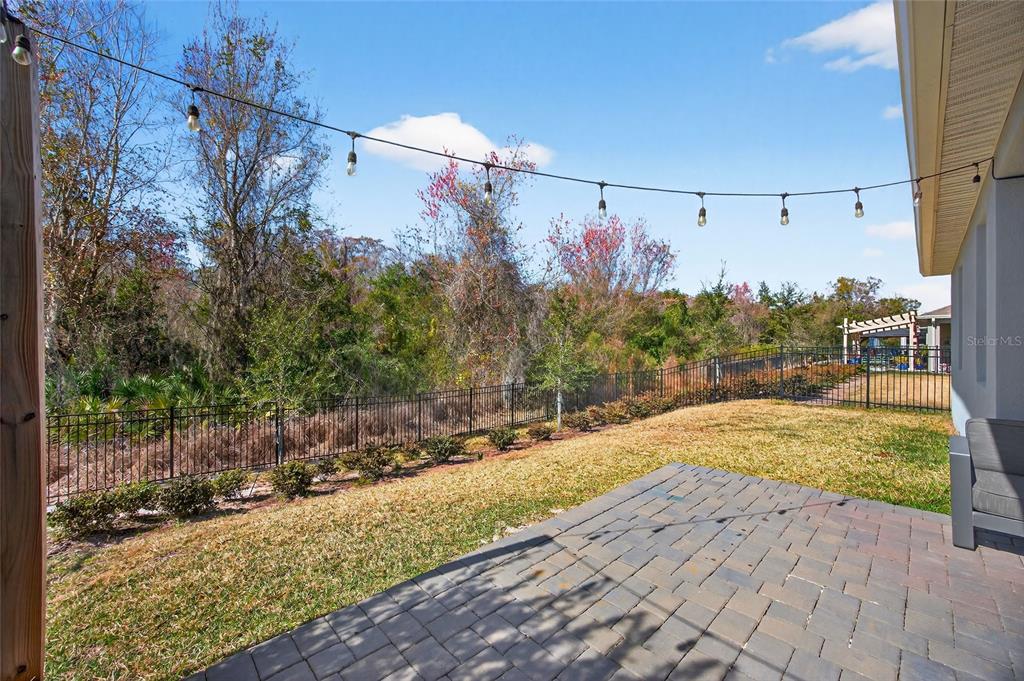 11128 Lore Way Orlando, FL 32832 - Photo 64 of 79 a view of a yard along with trees