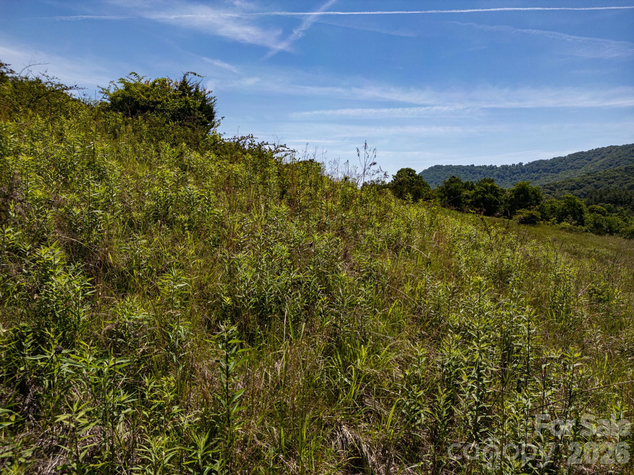999 Murphy Cove Road Candler, NC 28715 - Photo 27 of 48