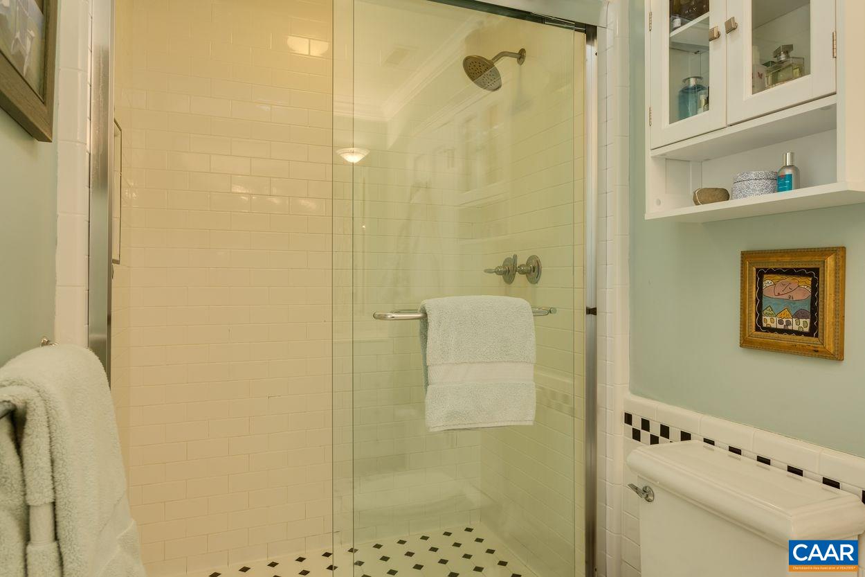 788 Tanglewood Road Charlottesville, VA 22901 - Photo 24 of 39 a bathroom with a window and a shower