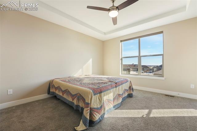 2061 Ruffino Drive Colorado Springs, CO 80921 - Photo 23 of 49 Gallery Image 23