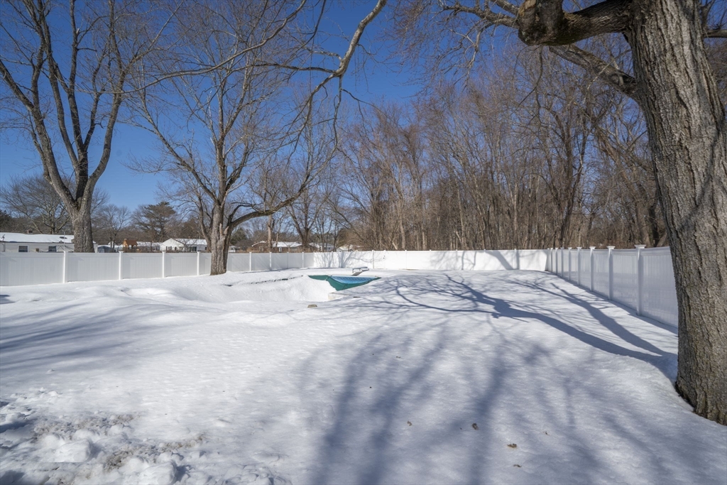 24 Wands Street Springfield, MA 01118 - Photo 10 of 32 Gallery Image 10
