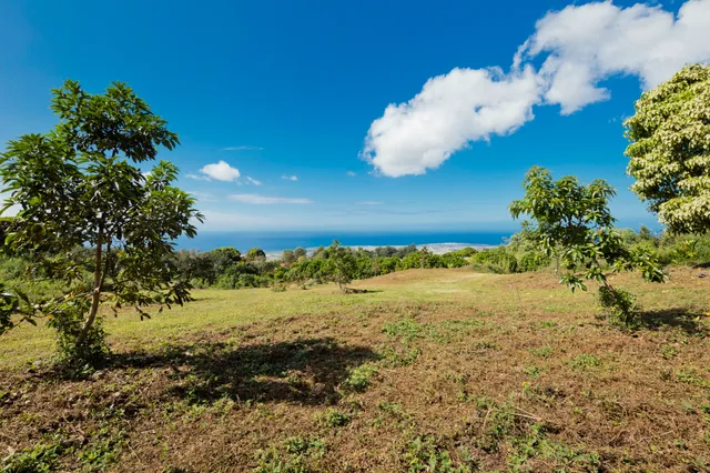 a view of a yard with wooden fence