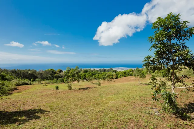 a view of a lake with a mountain