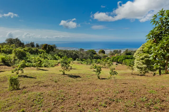 a view of a lake with a mountain