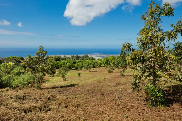 a view of a garden with an empty space