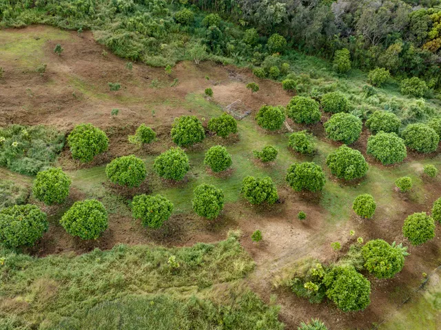 $2,500,000 | 73-1395 Kaukahoku Road, Kailua-Kona, HI 96740