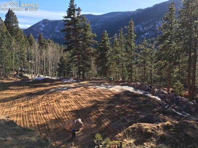 6800 Eagle Mountain Road Manitou Springs, CO 80829 - Photo 8 of 30