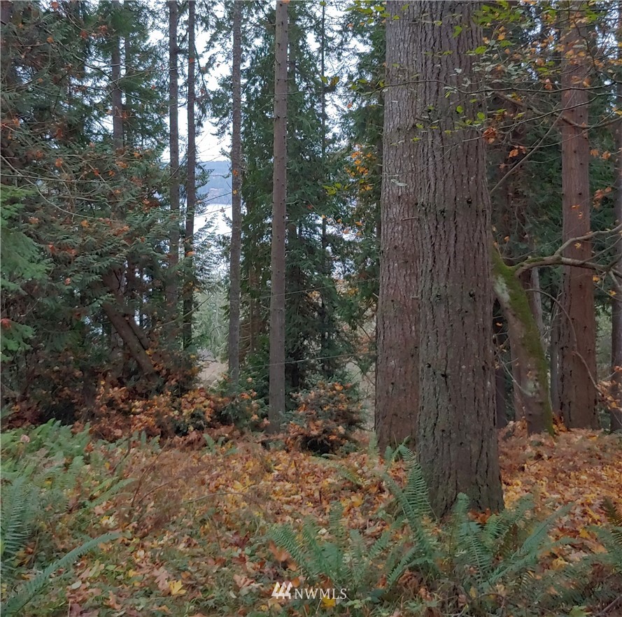 1497 Hazel Point Road Quilcene, WA 98376 - Photo 2 of 5 Gallery Image 2