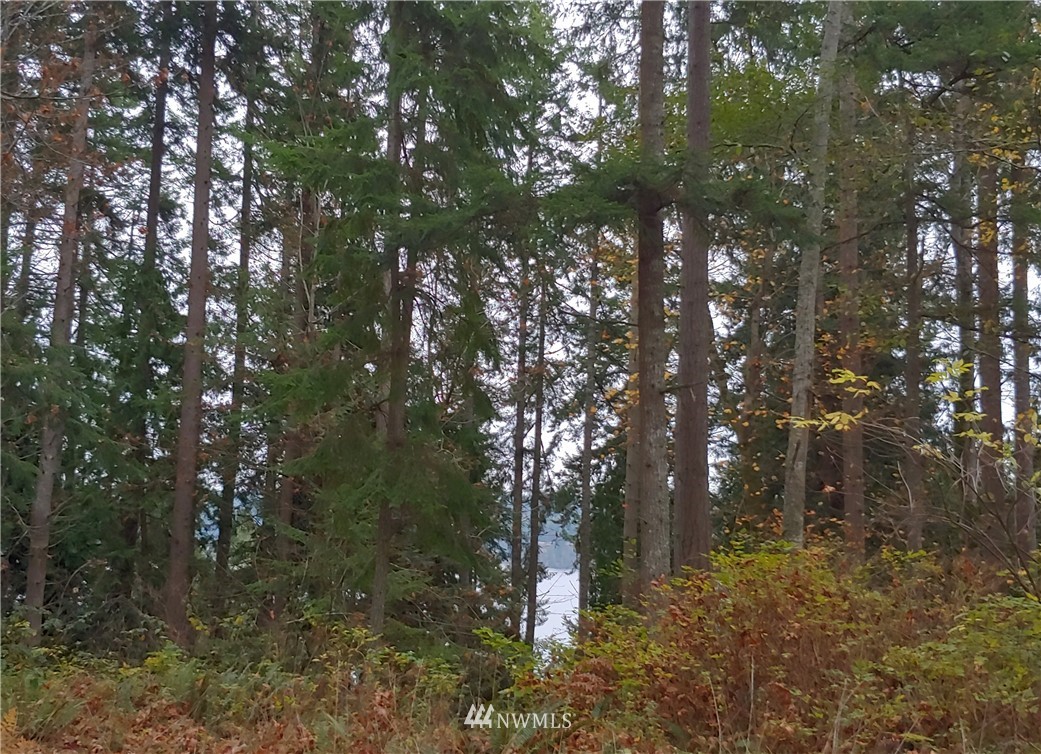1497 Hazel Point Road Quilcene, WA 98376 - Photo 5 of 5 Gallery Image 5