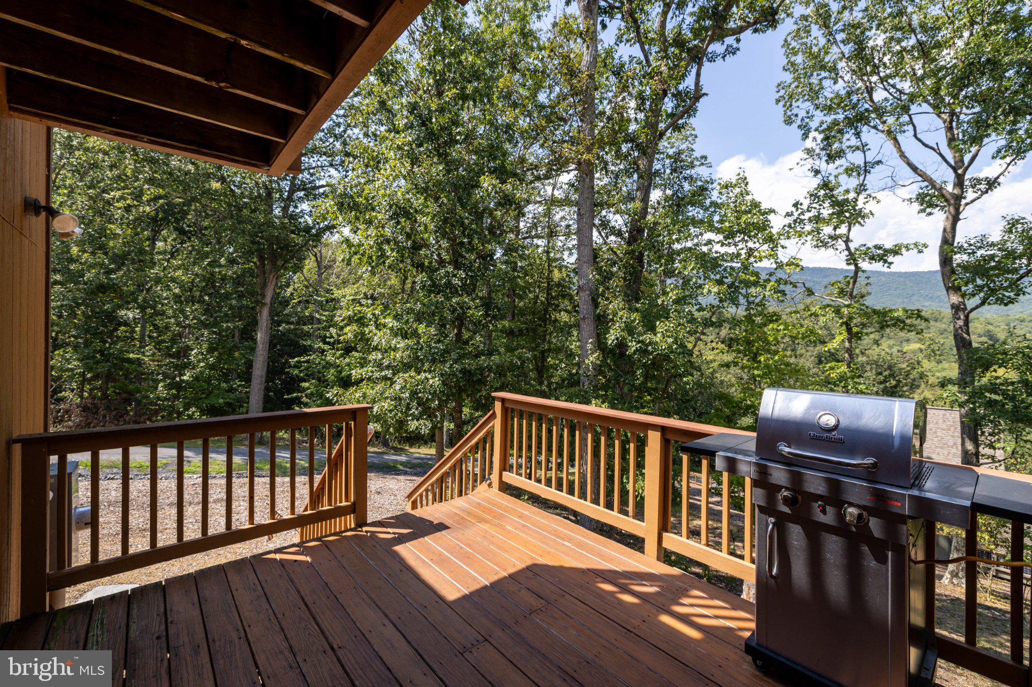 99 Fish Trap Path Luray, VA 22835 - Photo 134 of 149 Gallery Image 134