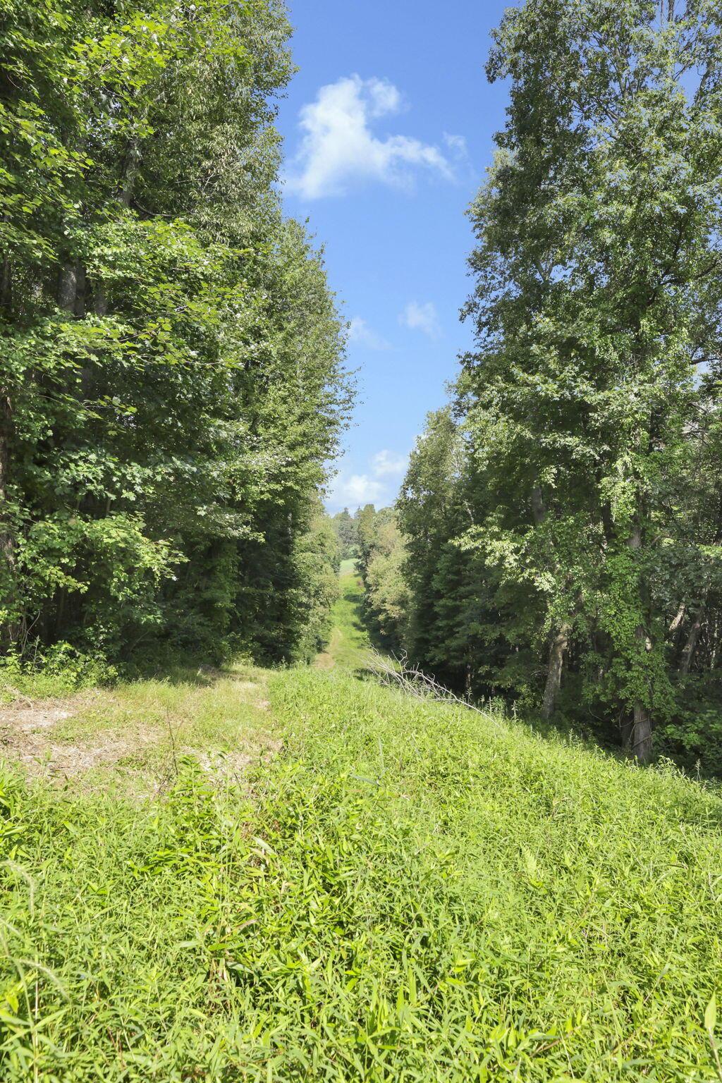 0 Cambridge Road Coshocton, OH 43812 - Photo 28 of 54 24-web-or-mls-011A1885