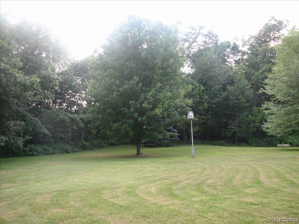 9700 Oakhill Road Holly, MI 48442 - Photo 9 of 20 Yard 2
