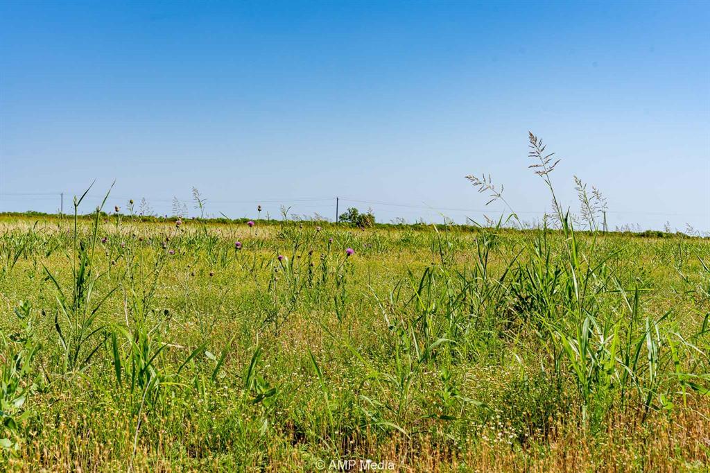 2142 Fm 2142 Hamlin, TX 79520 - Photo 14 of 21
