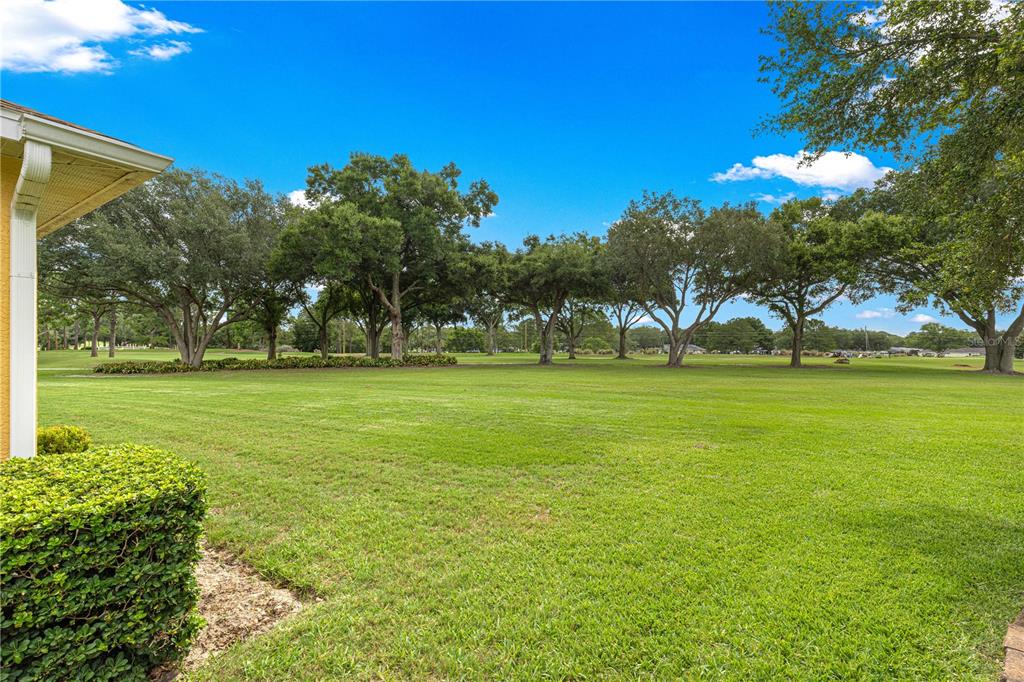 9359 Southwest 94th Loop Ocala, FL 34481 - Photo 57 of 66