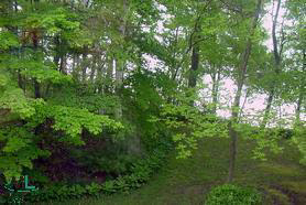 4385 Lakeshore Road Lexington, MI 48450 - Photo 4 of 12 852819-3.JPG
