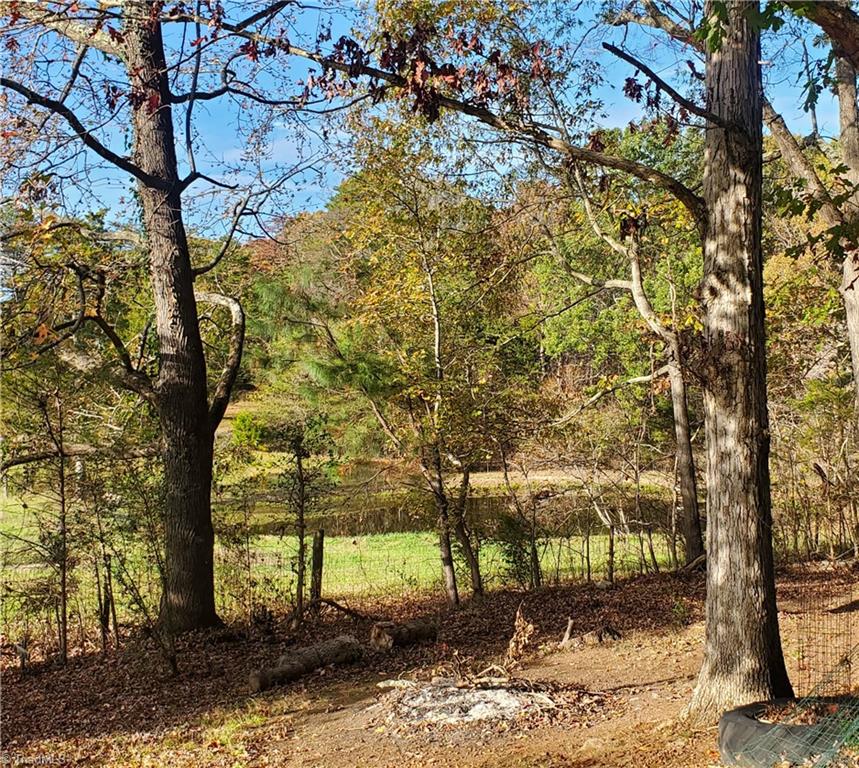 view from side of property of neighboring pond
