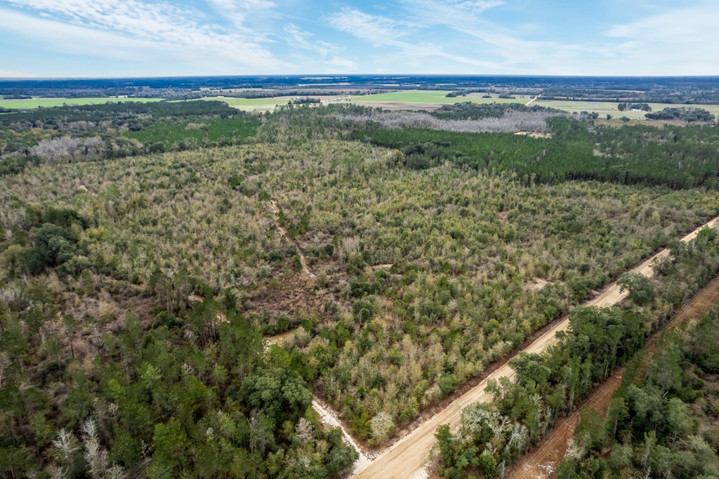 2 Pilgram Ch Road Gordon, AL 36343 - Photo 7 of 17