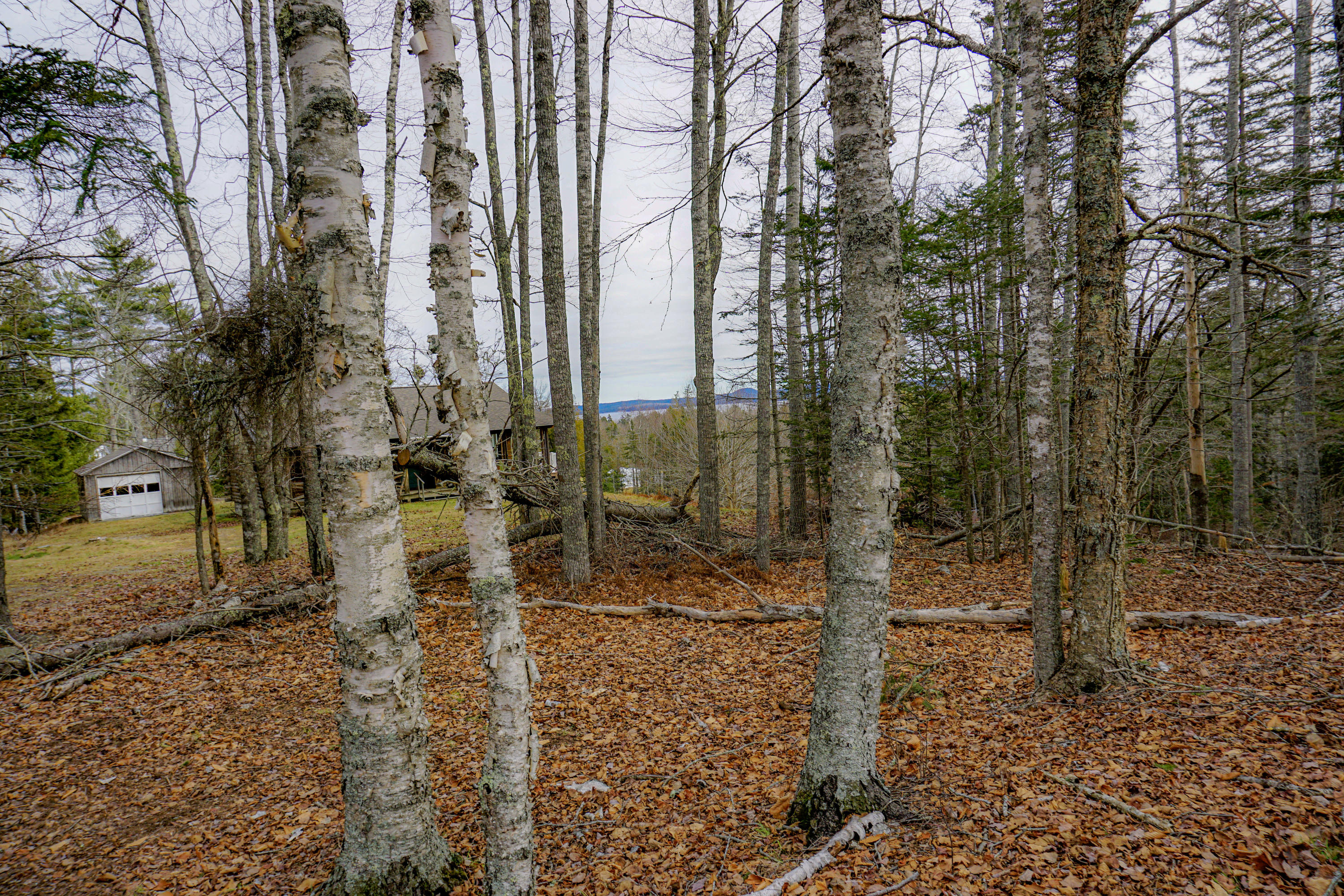 0 Main Road Islesboro, ME 04848 - Photo 1 of 44 58-_DSC1714