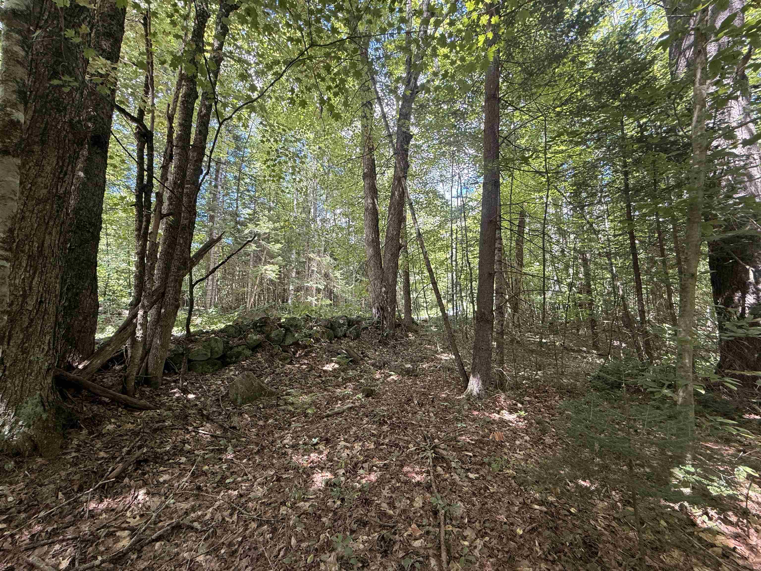 115 Forbes Mountain Road, Unit 3 Danbury, NH 03230 - Photo 5 of 18 Gallery Image 5