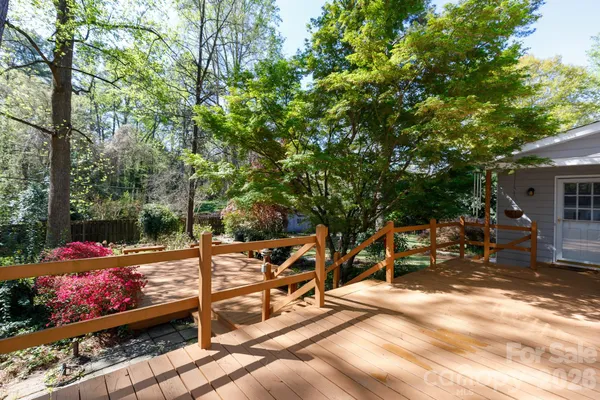 a view of backyard with plants and large trees