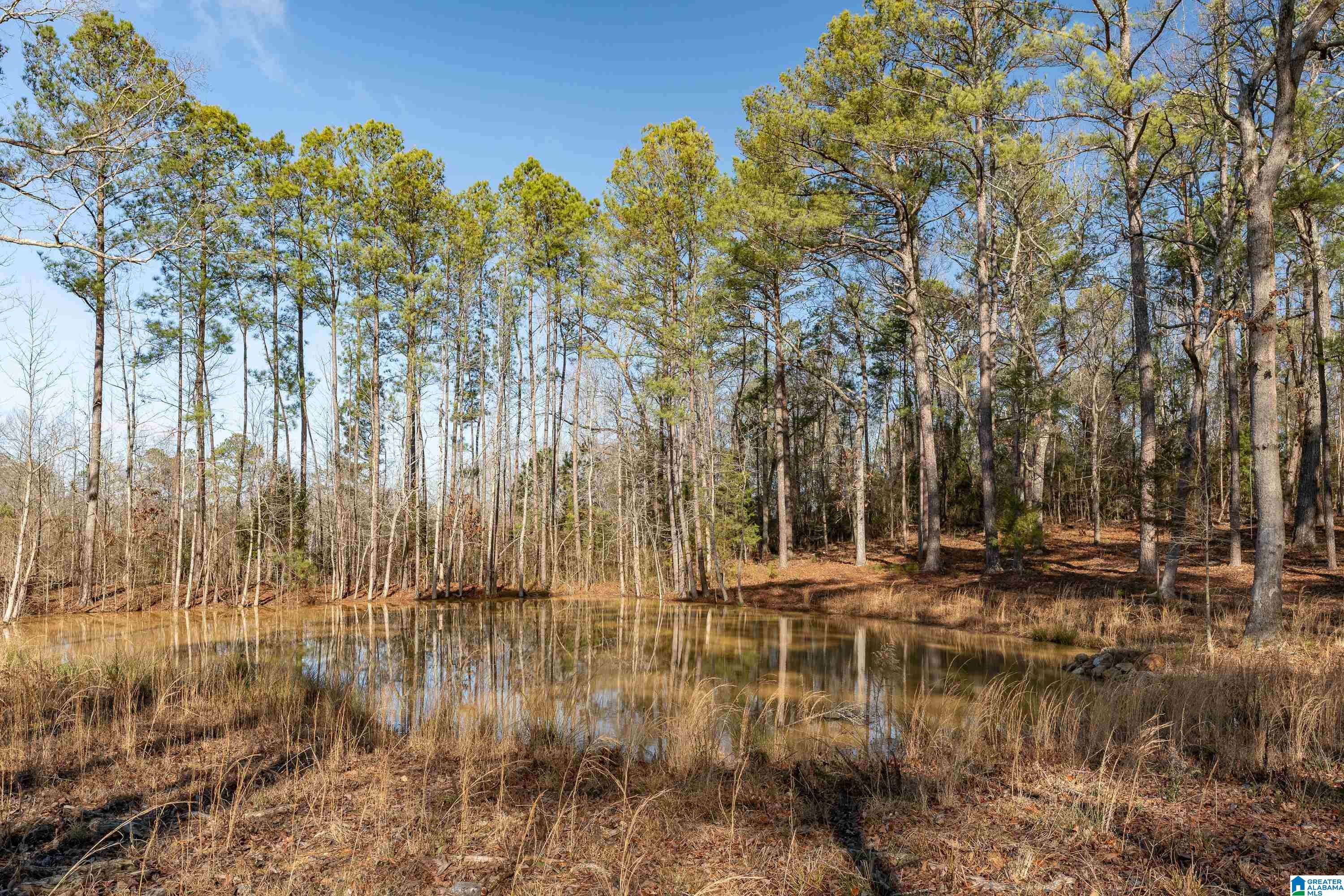 510 Cobb Road, Unit 1 Oxford, AL 36203 - Photo 19 of 22